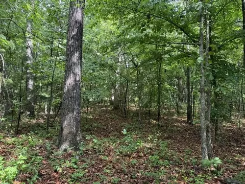 0 Smoot Rd, Morrison, TN 37357 photo 5