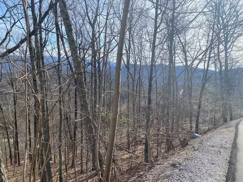 33 Burchfiel View Ln, Sevierville, TN 37862 photo 5