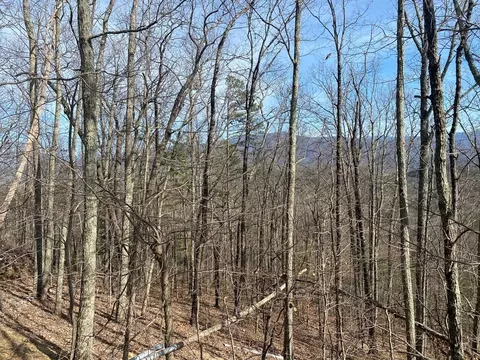 33 Burchfiel View Ln, Sevierville, TN 37862 photo 7