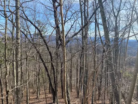 33 Burchfiel View Ln, Sevierville, TN 37862 photo 6