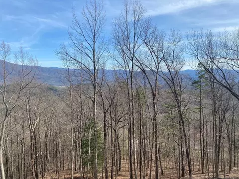 33 Burchfiel View Ln, Sevierville, TN 37862 photo 3