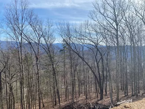 33 Burchfiel View Ln, Sevierville, TN 37862 photo 2