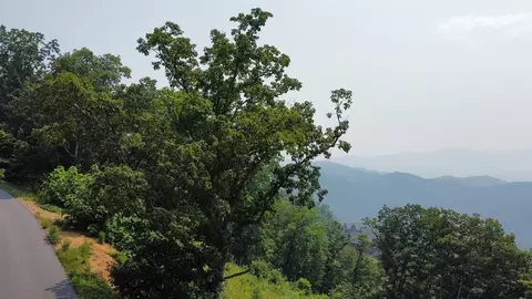 33 Burchfiel View Ln, Sevierville, TN 37862 photo 12