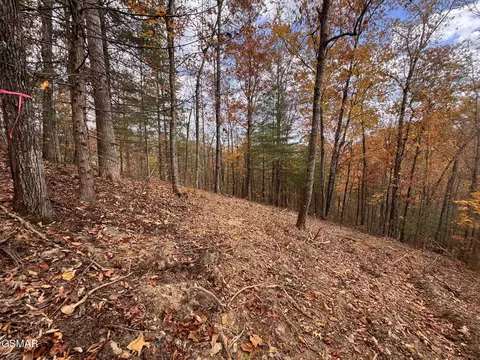 42 Cedar Falls Way, Sevierville, TN 37862