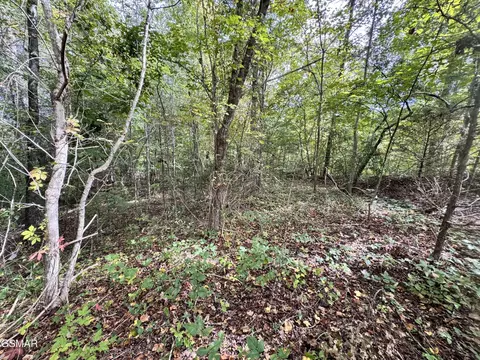 90 Owls Cove Way, Sevierville, TN 37862