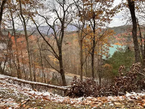 155 Black Bear Cub Way, Sevierville, TN 37876
