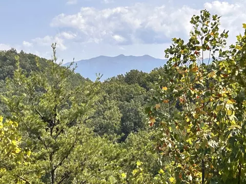 113 Eagle Cloud Way, Sevierville, TN 37862 photo 6