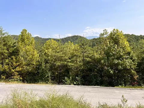 113 Eagle Cloud Way, Sevierville, TN 37862