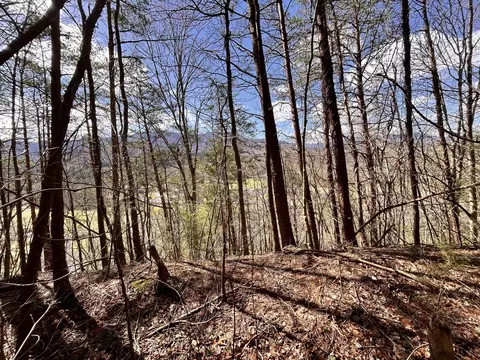2 Castle Road Rd, Gatlinburg, TN 37738