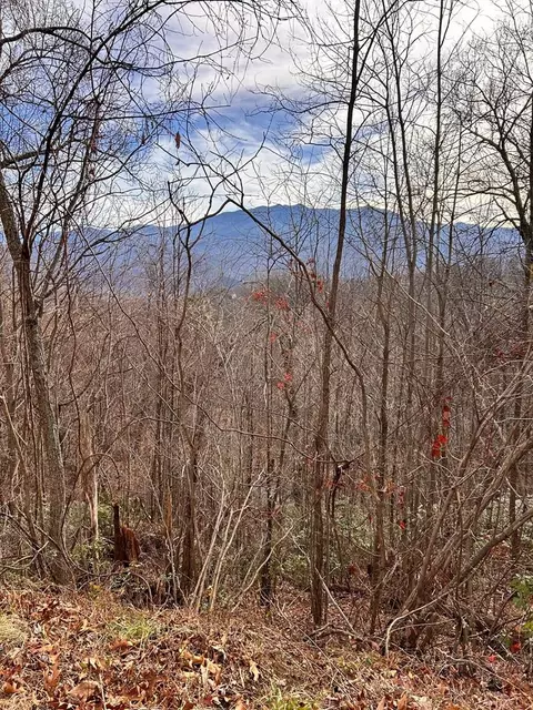 0 Upper Alpine Way, Gatlinburg, TN 37738