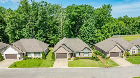View/Area - 105 Andrews Dr, Loretto, TN 38469 photo 2 of 7