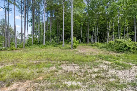 1109 Birds Eye Way, Guild, TN 37340 photo 34