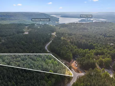 1109 Birds Eye Way, Guild, TN 37340 photo 38