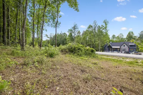 1109 Birds Eye Way, Guild, TN 37340 photo 36