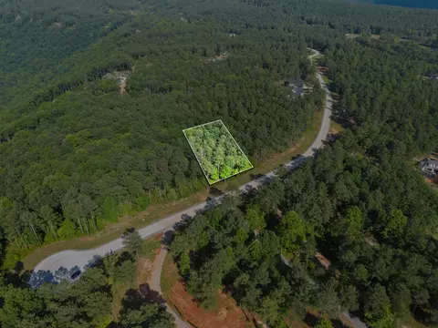 1023 Buck Crossing Dr, Guild, TN 37340 photo 10