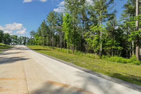 1023 Buck Crossing Dr, Guild, TN 37340 photo 5