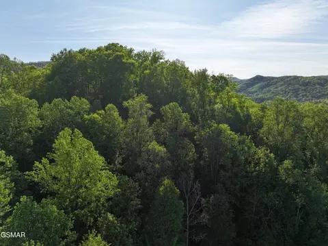 13 Dove View Rd, Sevierville, TN 37862 photo 13