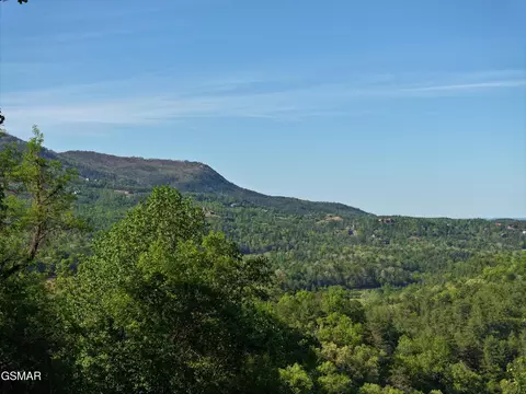 13 Dove View Rd, Sevierville, TN 37862 photo 10