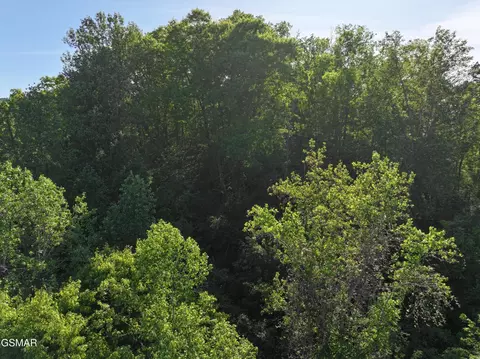 13 Dove View Rd, Sevierville, TN 37862 photo 11