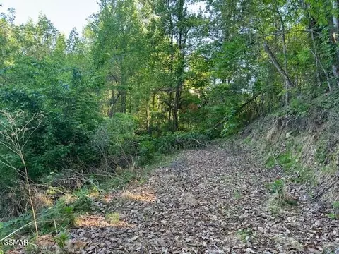 13 Dove View Rd, Sevierville, TN 37862 photo 7