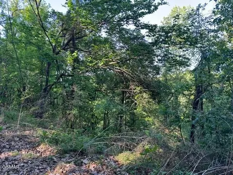 13 Dove View Rd, Sevierville, TN 37862 photo 8