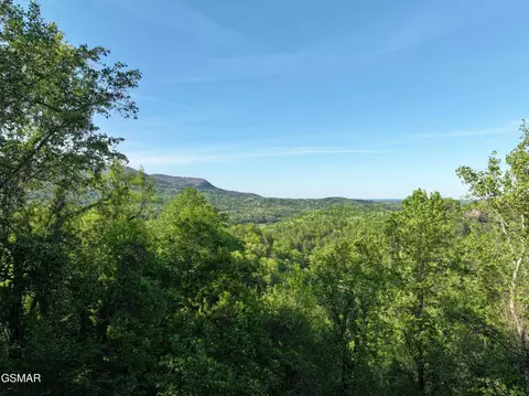 13 Dove View Rd, Sevierville, TN 37862 photo 9