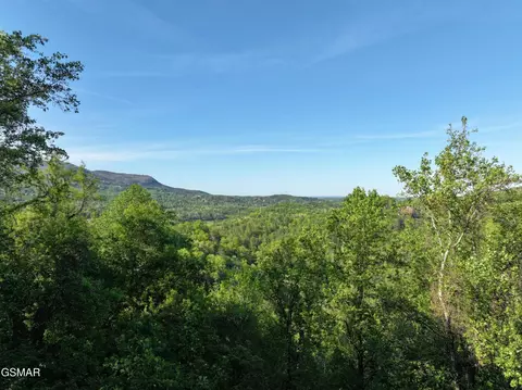 13 Dove View Rd, Sevierville, TN 37862 photo 3