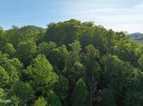 13 Dove View Rd, Sevierville, TN 37862 photo 12