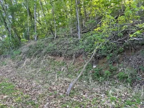 13 Dove View Rd, Sevierville, TN 37862 photo 6