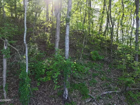 13 Dove View Rd, Sevierville, TN 37862 photo 14