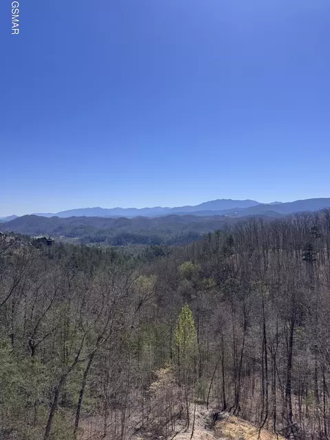 100 Laurel Cove Trl, Sevierville, TN 37862