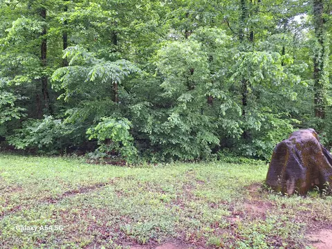 0 Cloyds Creek Rd Meadow Rd, Greenback, TN 37742