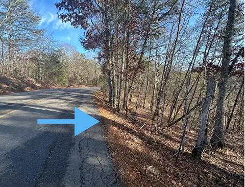 3 Sharp Hollow Rd, Sevierville, TN 37862 photo 4