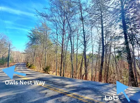 3 Sharp Hollow Rd, Sevierville, TN 37862 photo 11
