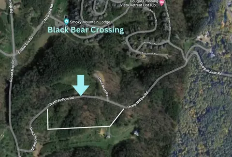 3 Sharp Hollow Rd, Sevierville, TN 37862 photo 20