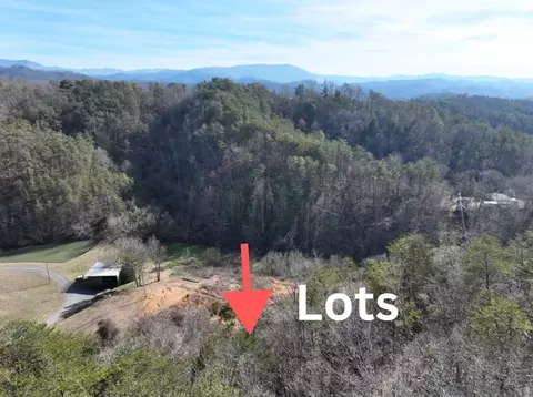 3 Sharp Hollow Rd, Sevierville, TN 37862 photo 9