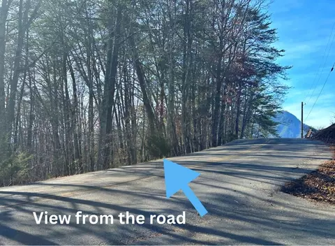 3 Sharp Hollow Rd, Sevierville, TN 37862 photo 2