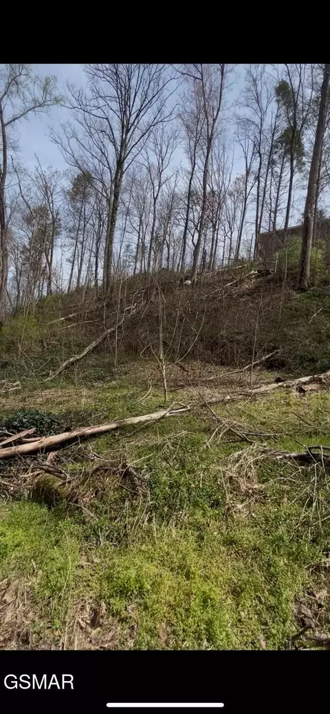 337 Silverbell Ln, Gatlinburg, TN 37738