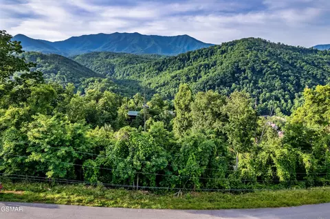 2 Ellis Ogle Rd, Gatlinburg, TN 37738