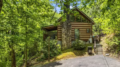 2570 Black Bear Ln, Sevierville, TN 37862