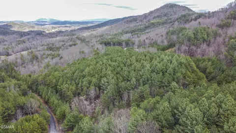 545 Harlan Mountain Rd, Tellico Plains, TN 37385
