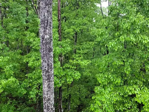 0 Cloud View Dr, Sevierville, TN 37862 photo 8