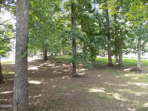 985 Ronald Dr, Talbott, TN 37877 photo 18