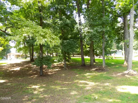 985 Ronald Dr, Talbott, TN 37877 photo 10