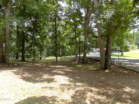 985 Ronald Dr, Talbott, TN 37877 photo 12