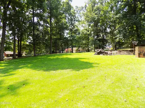 985 Ronald Dr, Talbott, TN 37877 photo 14