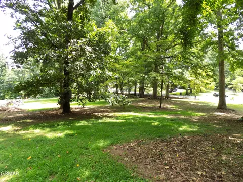985 Ronald Dr, Talbott, TN 37877 photo 8