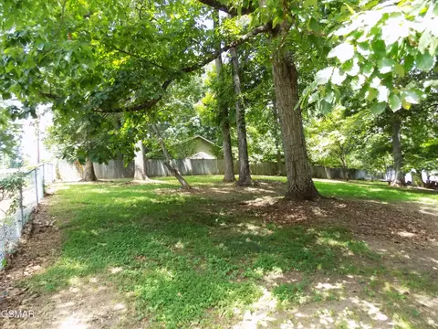 985 Ronald Dr, Talbott, TN 37877 photo 16