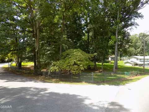 985 Ronald Dr, Talbott, TN 37877 photo 5