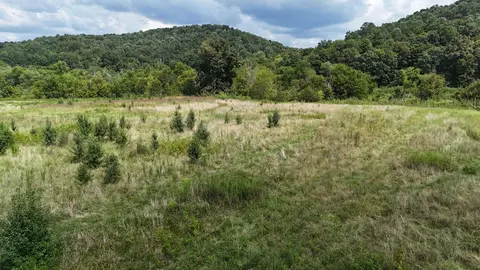 0 County Road 60, Riceville, TN 37370